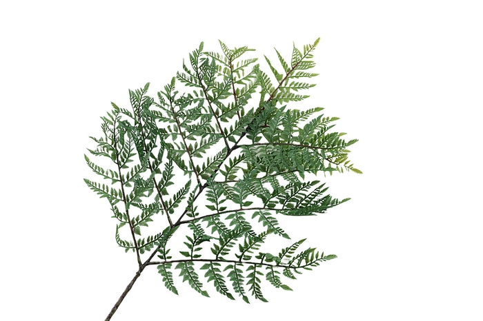 <h4>Fern Leather Branch Green</h4>