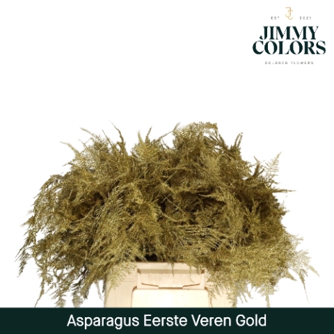 <h4>Asparagus 1ste Gold</h4>