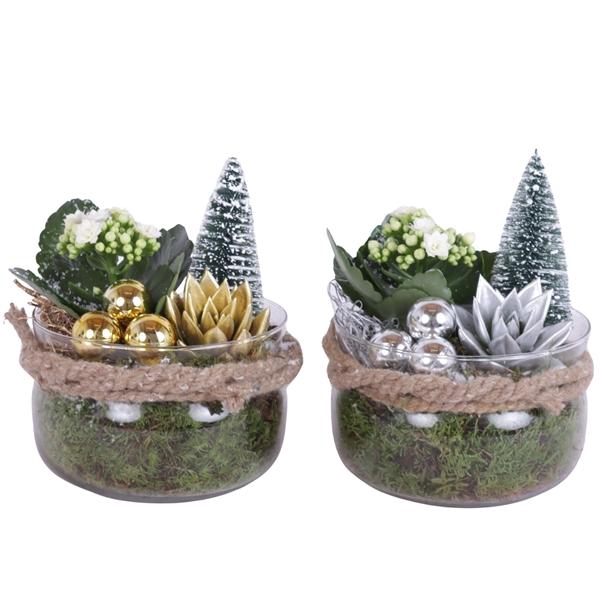 <h4>Christmas Arr. Indoor Glass Bowl with Rope Ø16cm 2PP</h4>