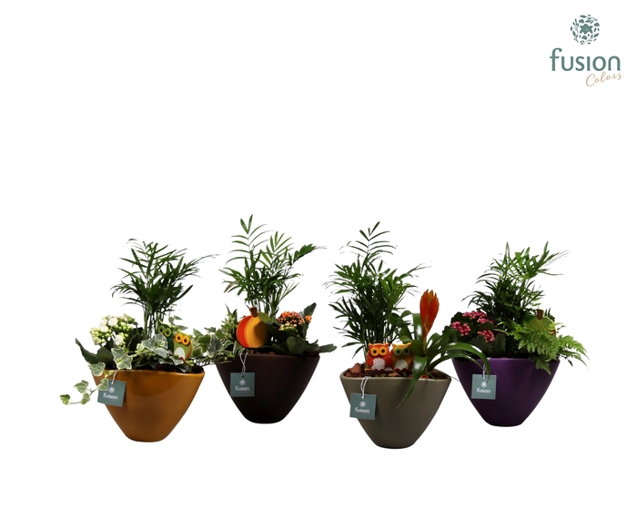 <h4>Pot keramiek ovaal 4 kleuren met Arrangement</h4>