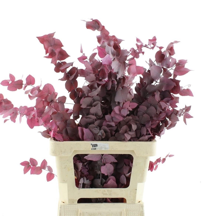 <h4>DECOGROEN OV KLB H%</h4>