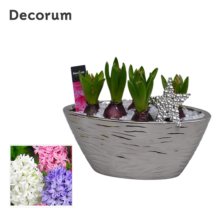 <h4>Hyacint Boot Spiegel HL15292 [SHINY & SPARKLING]</h4>