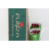 R Gr Freedom 70cm CO FUNZA