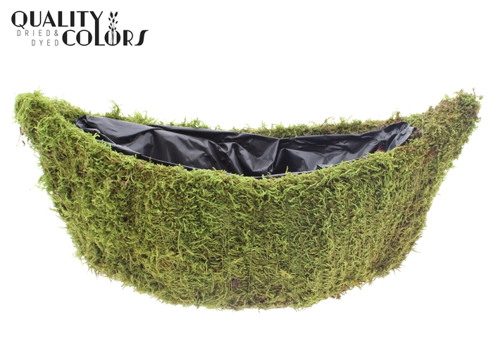 Planter Flat moss Oval L40cm B14cm Natural