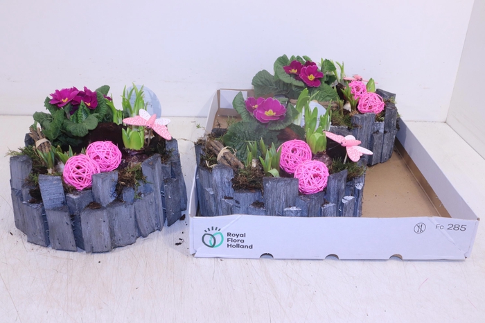 <h4>ARR TUINPLANTEN</h4>