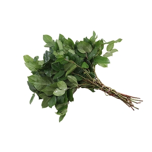 Salal Tips Orange Box X5