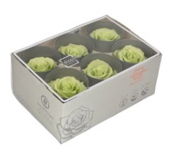 rose standard citrus green