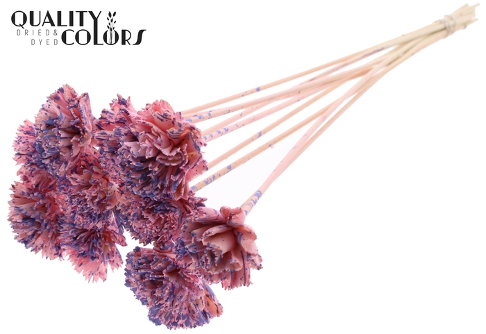 Shola Karnish Flower 6cm on stem Splashed Pink/Milka
