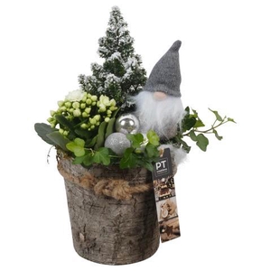 PTCHW4326 Arrangement Christmas White in houten pot