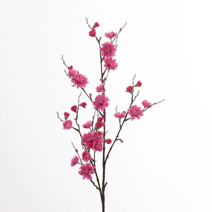 <h4>AF Prunus L86cm Pink</h4>