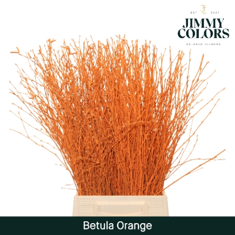 <h4>Betula L60 Orange</h4>