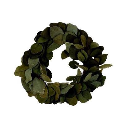 <h4>Preserved Wreath d35cm Eucalyptus Popul.</h4>