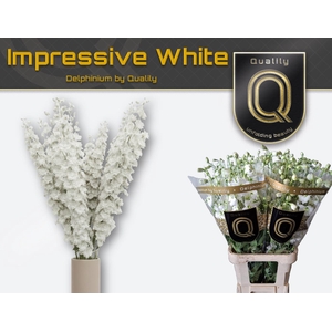 DELPH DU IMPR WHITE 100CM X40