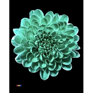 Chr T Altaj Ocean Green