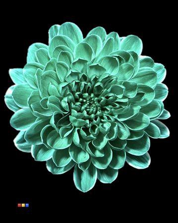 <h4>Chr T Altaj Ocean Green</h4>