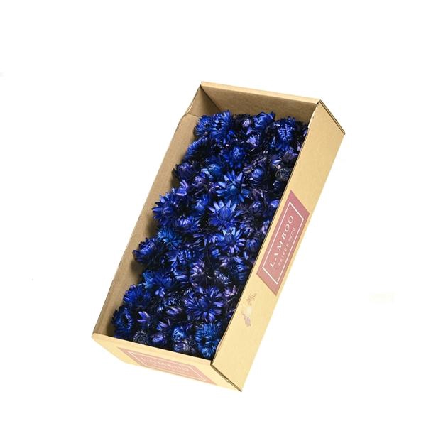 <h4>Helichrysum Heads 100gr Sb Dark Blue</h4>
