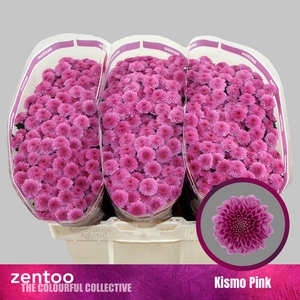 CHR S KISMO PINK