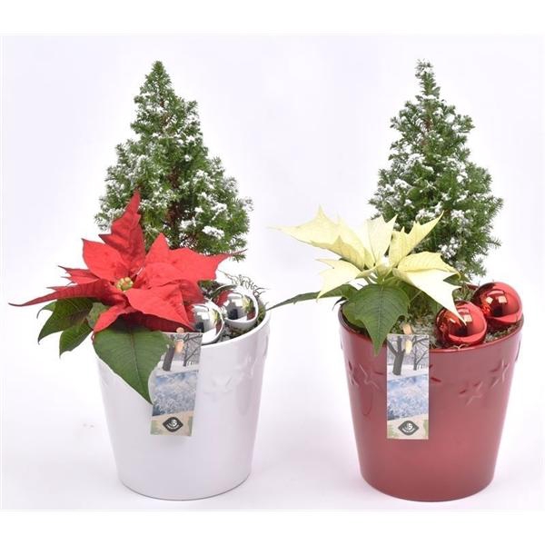 <h4>Keramiek pot met ster decor 13cm</h4>