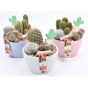 Keramiek schaal kl.mix 15cm