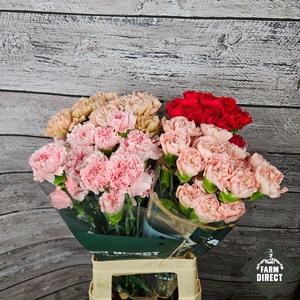 DI ST GEMENGD IN FUST