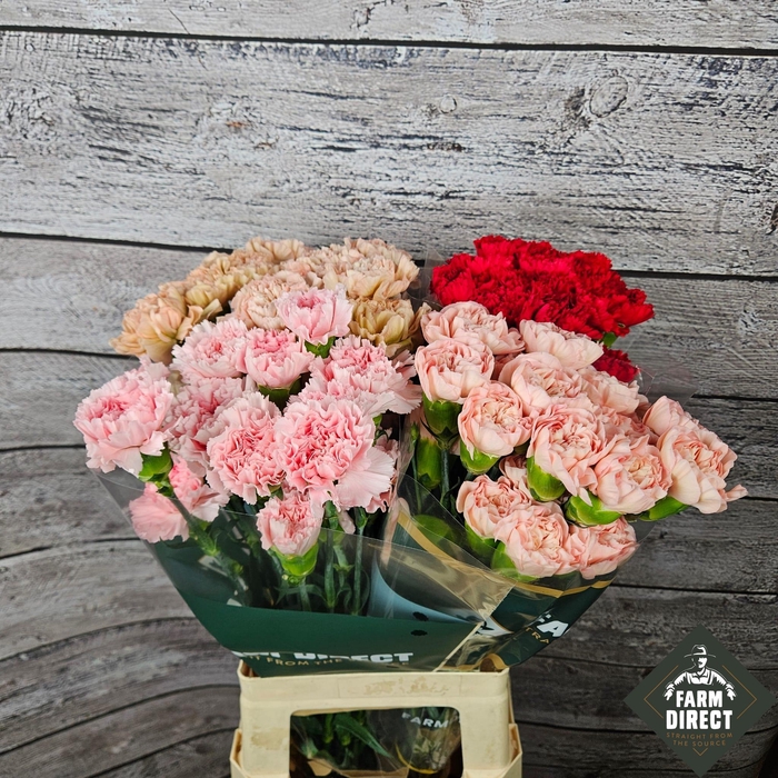 <h4>DI ST GEMENGD IN FUST</h4>