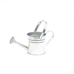 Zinc Watering can d14.5*14.5cm