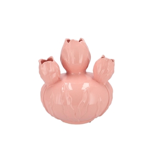Mara Pink Vase Bol Tulip 22x22x24cm Nm