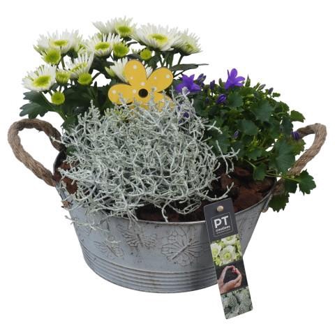 <h4>PTSO6009 Arrangement Summer Outdoor in metalen bak</h4>