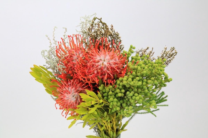 <h4>BQ Nutans 3 Flower</h4>