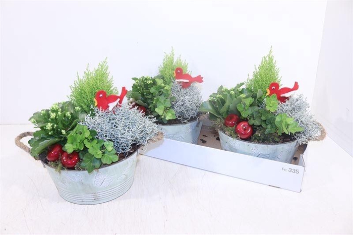 <h4>ARR TUINPLANTEN</h4>