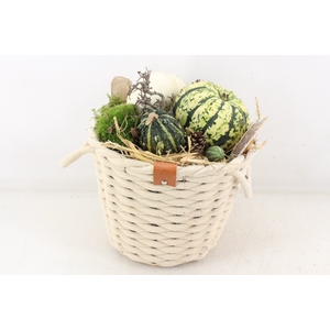 arr4 Sierfruit MB - Wolmand hoog wit