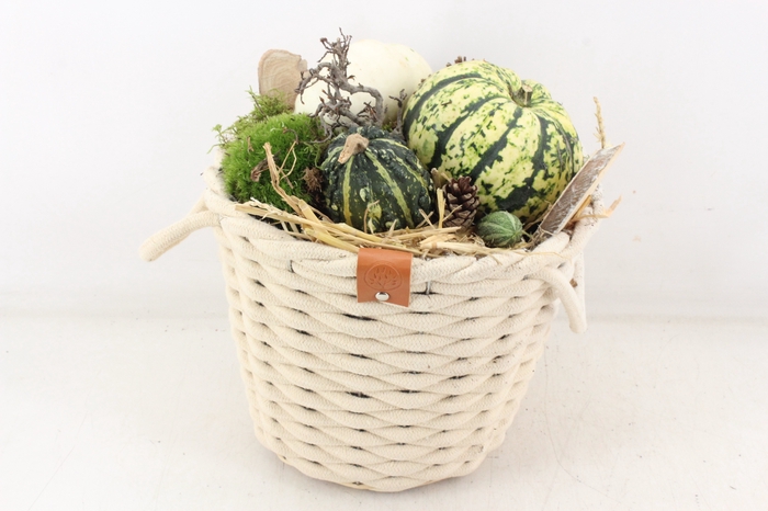 <h4>arr4 Sierfruit MB - Wolmand hoog wit</h4>