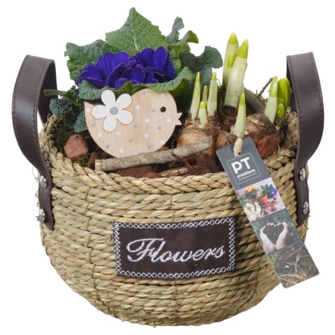 <h4>PTBM3129 Arrangementen Tuinplanten</h4>