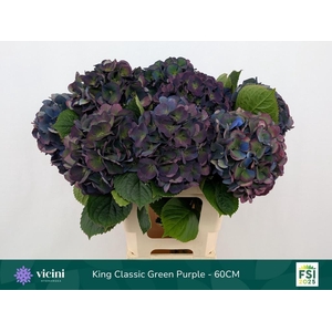 HYDR M ROYAL KING CL