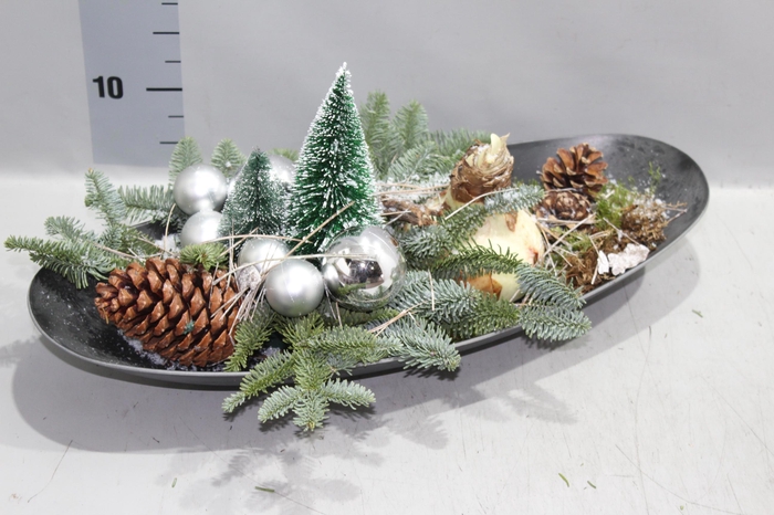 <h4>ARR HIPPEASTRUM</h4>