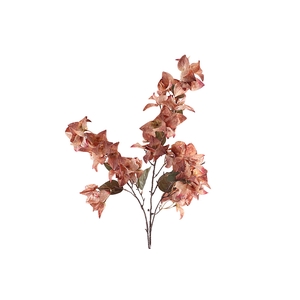 Bougainvillea Spray Pink Dark