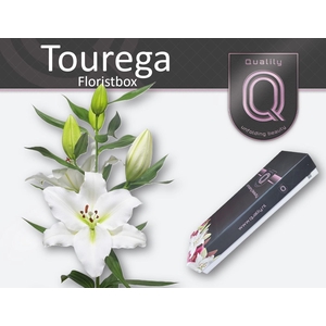 LI OR TOUREGA FLORISTBOX 4+