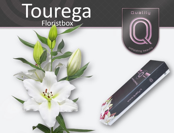 <h4>LI OR TOUREGA FLORISTBOX 5+</h4>
