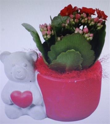 <h4>2275 Ker Rood Beer</h4>