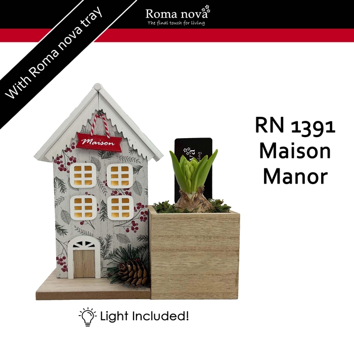 <h4>1391 - Maison Manor (Hyacint)</h4>