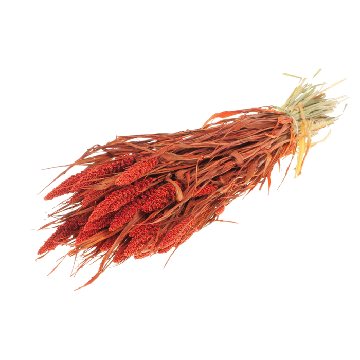 <h4>Setarea Italica Burnt Orange</h4>
