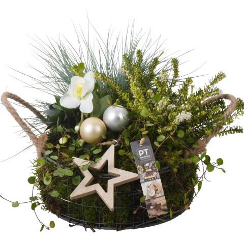 <h4>PTWO1934 Arrangement Winter Outdoor in metalen mand</h4>