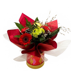 Aqua-bulle Hoedendoos rood