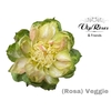 R GR VEGGIE