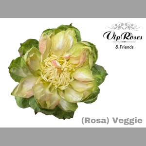 R GR VEGGIE