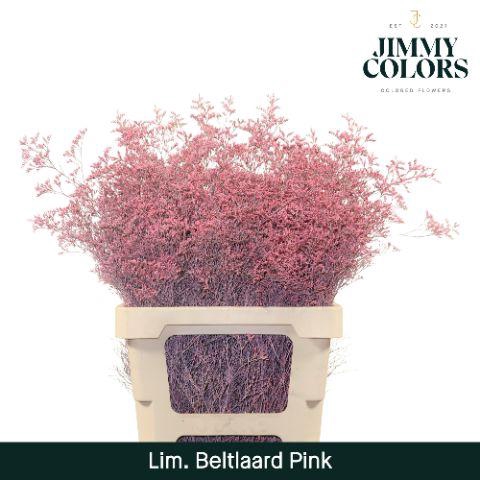 <h4>Lim Bel L70 Pink</h4>