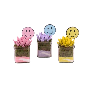 Thank you Teacher Arr. Succulent Glass Accuglas Square Ø08cm 1PP