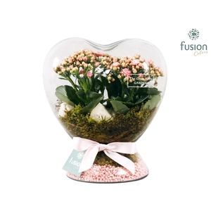 Green Bottle Hart met Kalanchoe