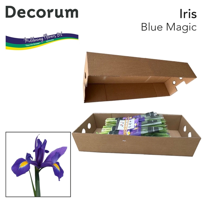 Iris Blue Magic Pre-packed