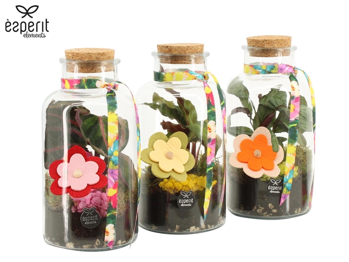 <h4>31794: Reinvention terrarium</h4>